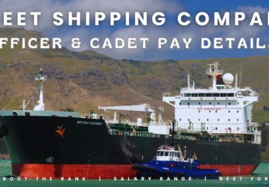 Fleet Shipping Company Rank wise salary structure